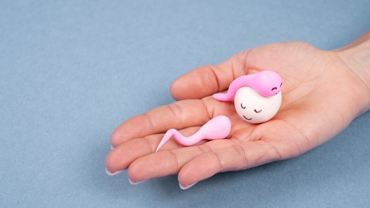 Tüp Bebek Tedavisi Ankara (2026)