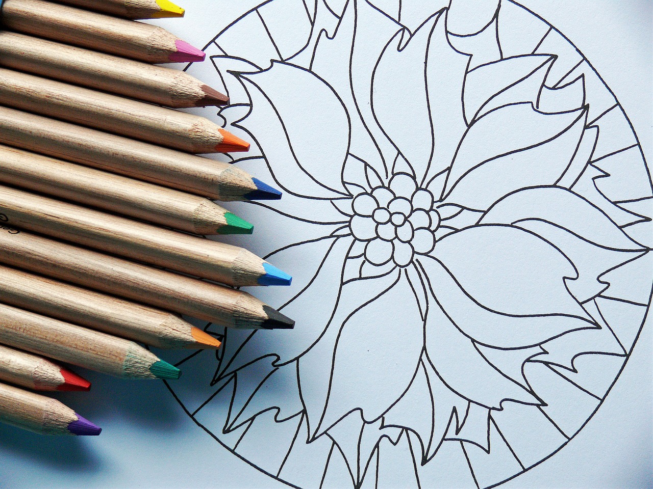 Soru 17: Karakalem Çiçek Resmi Çizimi Nasıl Yapılır?