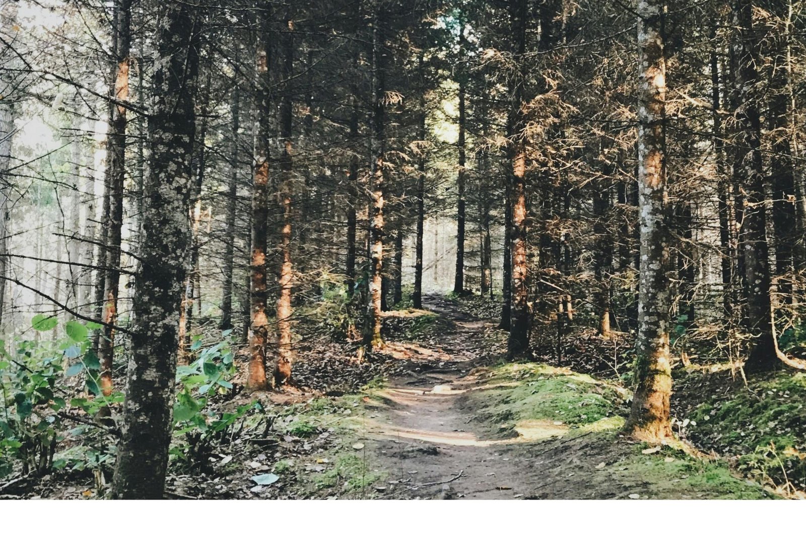 Çocuklarınızı Gerçek Dünyaya Hazırlamanın Yaratıcı Yolları! 8 Çocuklarınızı Gerçek Dünyaya Hazırlamanın Yaratıcı Yolları