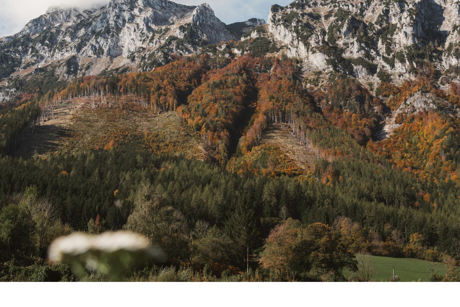 Çocuklarınızı Gerçek Dünyaya Hazırlamanın Yaratıcı Yolları! 6 Çocuklarınızı Gerçek Dünyaya Hazırlamanın Yaratıcı Yolları
