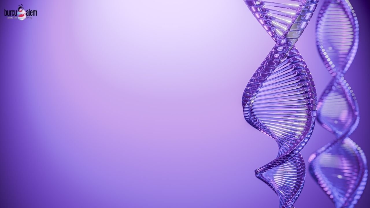 Kalıtsal Hastalıklar Hangi Genle Taşınır?