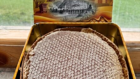 Organik Bal Nedir? Doğal ve Gerçek Balı Anlamanın Yolları